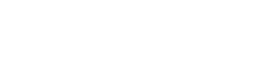 V Partners